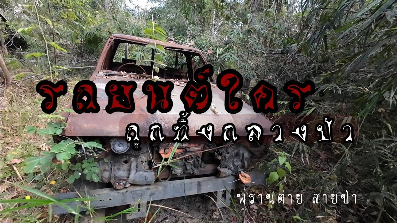 รถใครมาจอดไว้กลางป่า