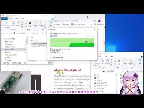 Raspberry Pi PicoにPythonをインストール