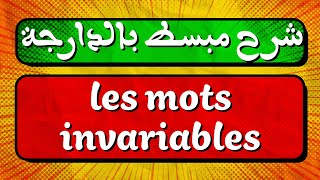 A simplified explanation in colloquial Arabic for the lesson on invariable words.