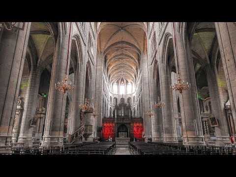 Auch Cathedral (Cathédrale