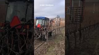 Pre-Pruner Mp122 Optima With Auto Opening || Made By Provitis France || #Shorts