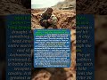The Morning 3 Farmers DUG Up 8,000 Soldiers  #historyshorts #history #china #chinahistory