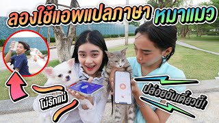 Try using the language translation app. Cats and dogs can talk. screenshot 3