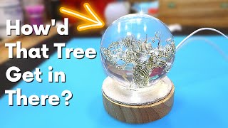People Are Amazed At How The Tree Gets in The Resin Ball.