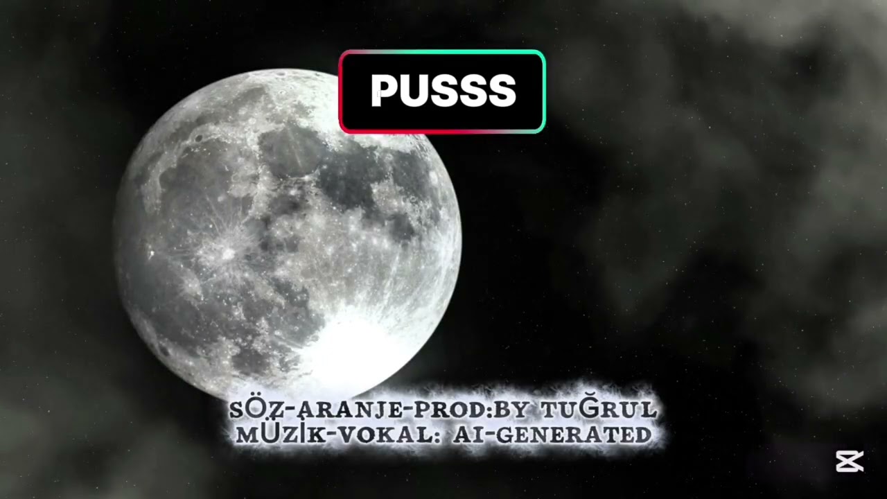 PUSSS Ottoman Mehter Trap sytle... 