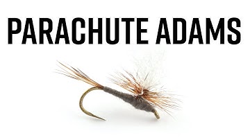 Parachute Adams