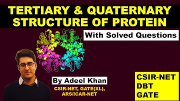 TERTIARY & QUATERNARY STRUCTURE OF PROTEIN WITH SOLVED QUESTIONS || CSIR-NET, ICMR, DBT, GATE, M.Sc