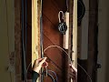 Low Voltage Rough In (Future-Proof Your Reno) #lowvoltage #cat6 #electrician
