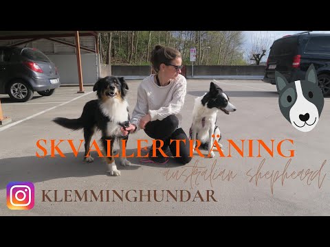 Video: 3 sätt att sänka hemoglobin