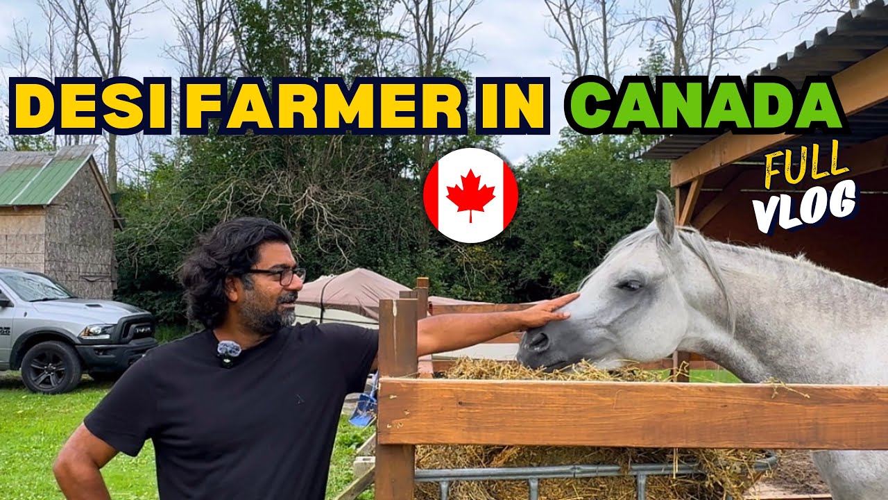 Desi Farmer in Canada 🇨🇦   | Journey of A Pakistani 🇵🇰Farmer in North America |