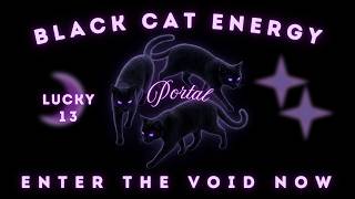Lucky 13 Black Cat Energy Portal ✧ 33:33 Theta Waves