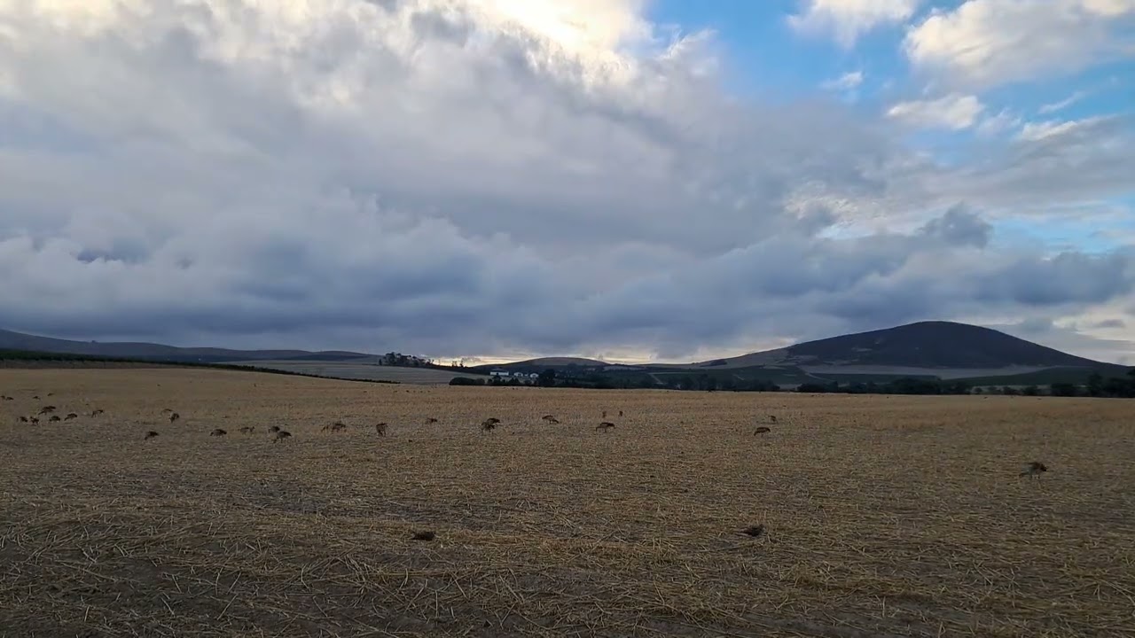 Timelapse of sunset clouds coming into Vierlanden!
