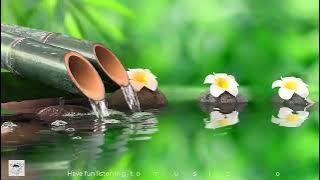 999 Hour Relaxing Music || Sleep Music, Stress Relief Music, Spa, Meditation, Yoga,Zen,Nature Sounds