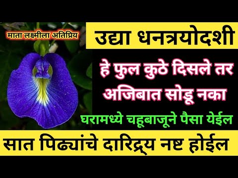 Kop qora tanlilar bilan porno videolar Emish porno