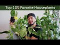 My Top 10 Favorite Houseplants | Spring 2020