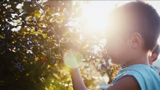 Brookside Farms | Welcome to Our Farm, Welcome to Our Family