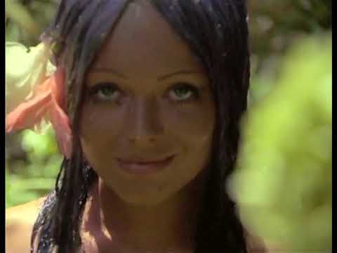 Robinson and His Tempestuous Slaves (1972) English Subs