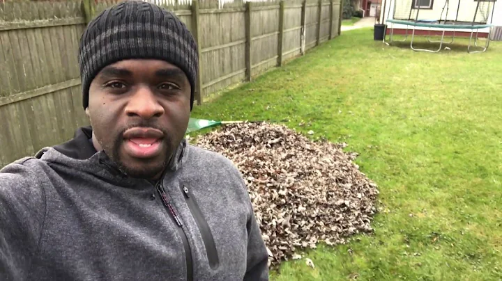 Lester Sanders | Raking Up The Leaves Called Life
