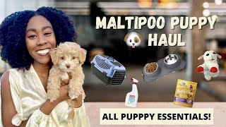 Maltipoo Puppy Haul | New Puppy Essentials