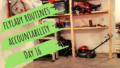 Day 16 | Flylady Routines Accountability