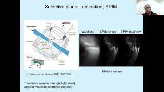 Light Sheet Fluorescence Microscopy fundamentals