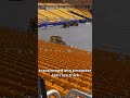 Monster Jam comes to Pittsburgh