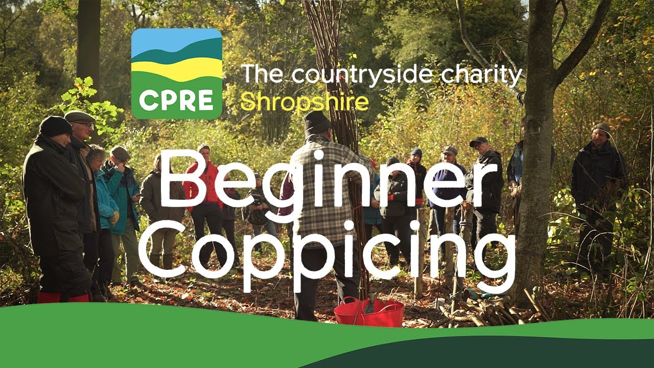 CPRE Shropshire - Beginner Coppicing (Hedgerow Heroes) - RFW Photo ...