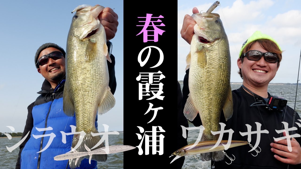 春はウィンディサイドを狙え！霞ヶ浦の２大パターンを攻略 / 馬場拓也 中根翼【バス釣り】