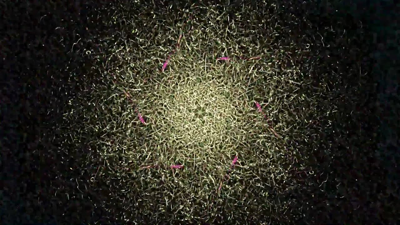 Visualizations Visualizations