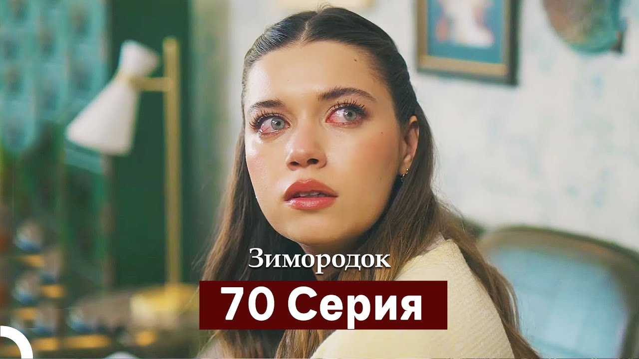 Зимородок 70 Cерия (Русский дубляж)