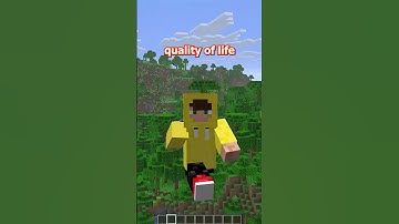 mods that NEED to be vanilla features by now #minecraft