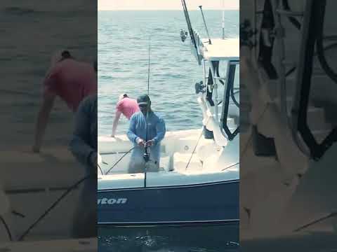 Βίντεο: Τι είναι το washdown σε ένα σκάφος;