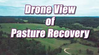 What Rotational Grazing Really Looks Like | Drone View of Pasture Recovery