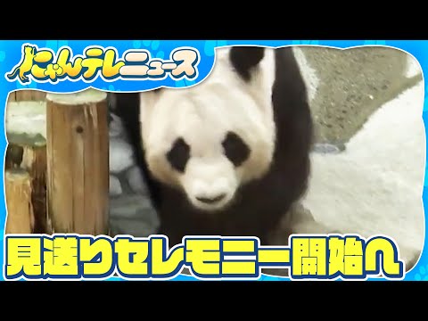 紀伊民報連載　ありがとうパンダ ありがとう！パンダファミリー “また会いたい”キモチ 19