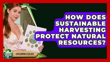 How Does Sustainable Harvesting Protect Natural Resources? - Explaining Ecology