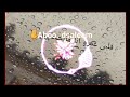 طب و النبي حد يفهمهم / Aboo. dsaleem