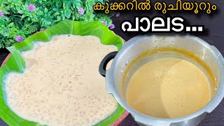 ലോകപ്രശസ്ത പാലട പായസത്തിന്റെ രുചി രഹസ്യം |How to make Palada Payasam|Pink Palada In Pressure Cooker