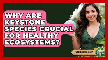 Why Are Keystone Species Crucial For Healthy Ecosystems? - Explaining Ecology