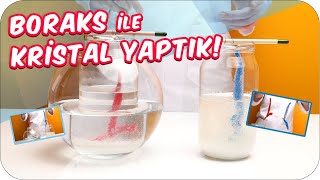 Kristal Nasıl Yapılır? İlginç Deney 🤓