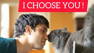 How Do Cats Choose Their Owners ? Find out ! by Smart Dog and Cat Lover 286 views 1 year ago 3 minutes, 44 seconds