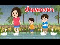 ฝนเทลงมา แมงจีนูน นกเขาบินข้ามเขา | เพลงเด็ก 2565 By KidsMeSong