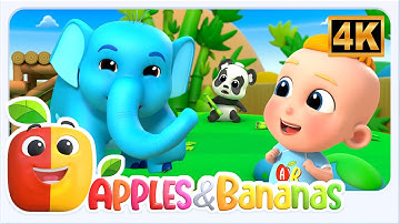 Lagu Kebun Binatang Sajak Animasi Seru untuk Anak-Anak