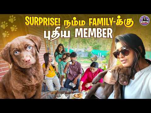 This Puppy Entry Was a Big Surprise 😱🐾 | Family Vlog| Akshitha Bopaiah