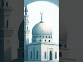 الحمد لله رب العالمين الرحمن الرحيم مالك يوم الدين اياك نعبد واياك نستعين #quran #goviral