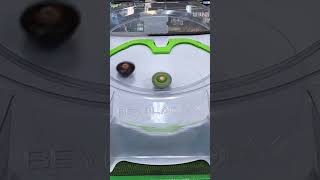 Cobalt Dragoon From Outta Nowhere