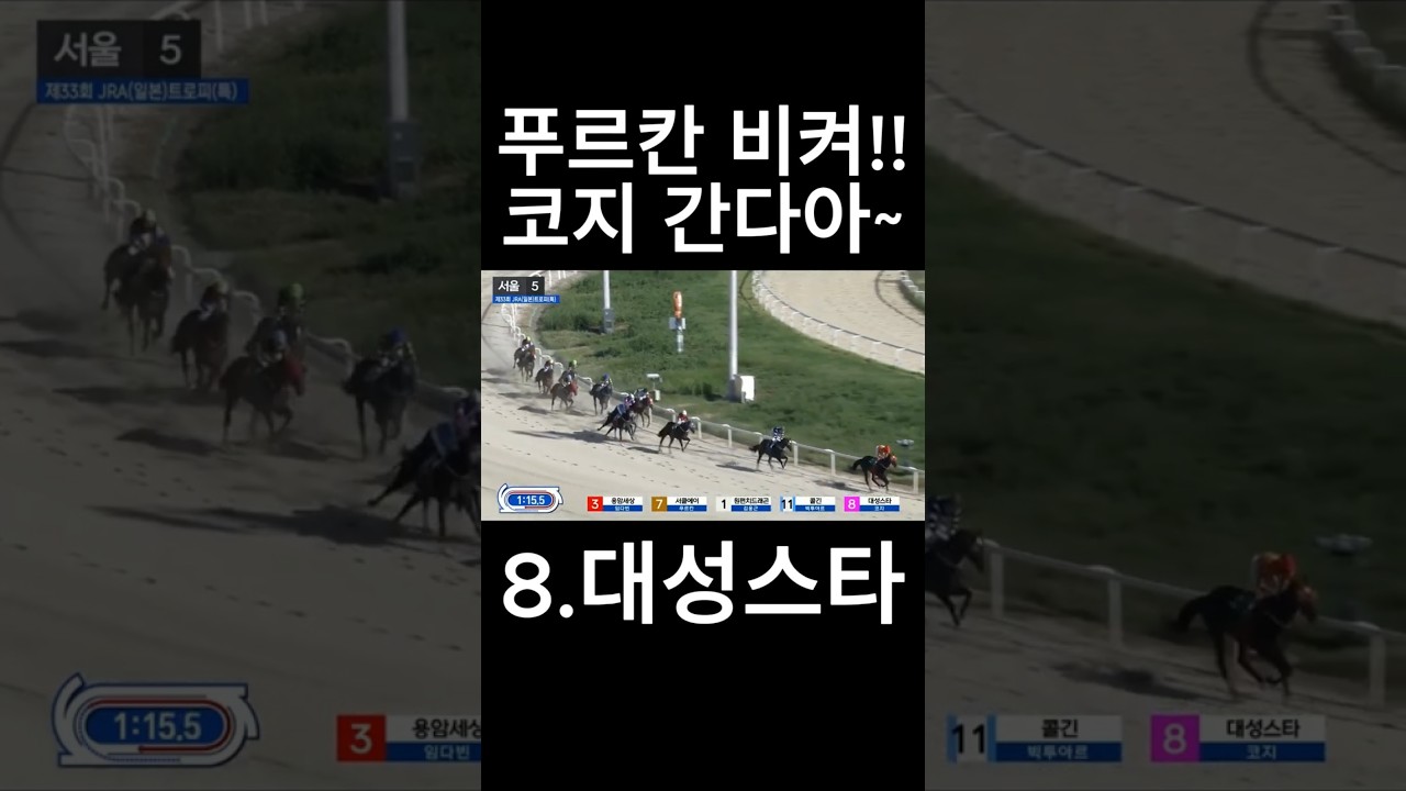 코지 간다 #경마  #경마예상  #경마방송  #경마예상방송  #서울경마  #금요경마  #토요경마  #일요경마 #경마장