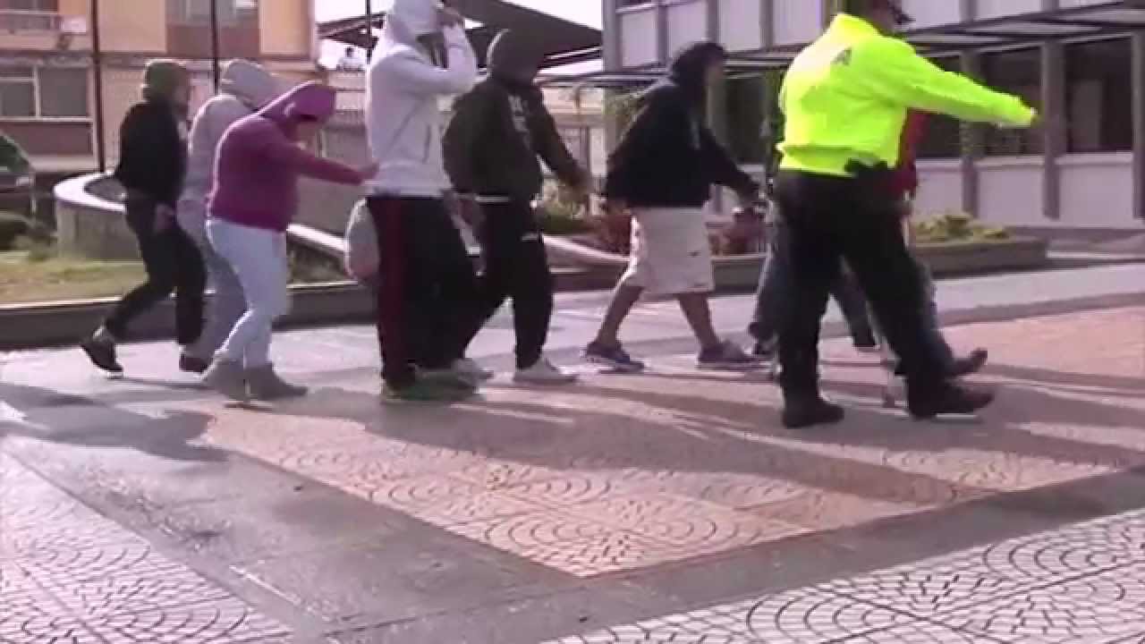 Con todo el peso de la ley fue desarticulada la banda la Bombonera en Manizales - policiadecolombia