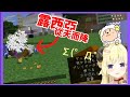 【角卷棉芽】棉芽在伺服器中的恐怖日常