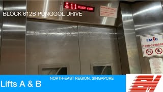 HDB Block 612B Punggol || EM Elevator