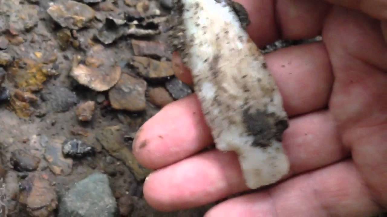 Iowa arrowhead hunting 